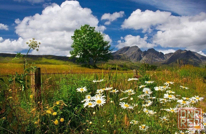 Участок 18,25 сот Донецк - изображение 1