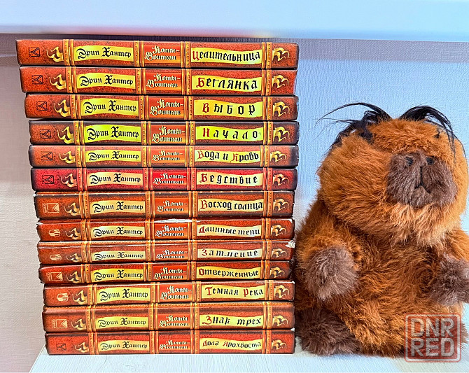 Коты Воители Донецк - изображение 2