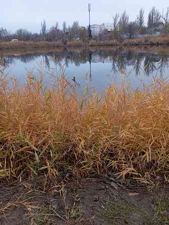 Продам участок земли Докучаевск