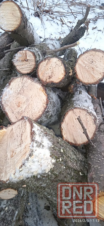 Дрова фруктовых деревьев в мешках Донецк - изображение 1