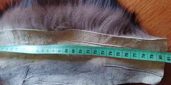 Лиса на воротник. Новое. Донецк