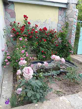 Дом 176 м2 на Донецком море по хорошей цене Донецк