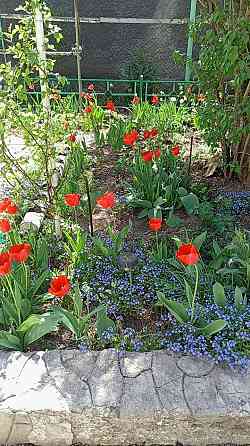 Дом 176 м2 на Донецком море по хорошей цене Донецк