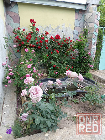 Дом 176 м2 на Донецком море по хорошей цене Донецк - изображение 1