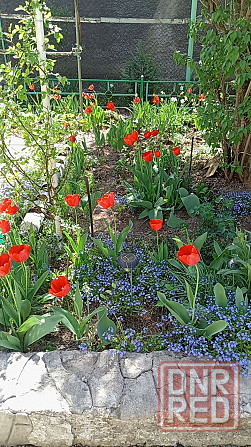 Дом 176 м2 на Донецком море по хорошей цене Донецк - изображение 3