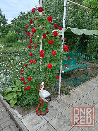 Дом 176 м2 на Донецком море по хорошей цене Донецк - изображение 2