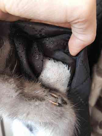 Норковая шуба Донецк