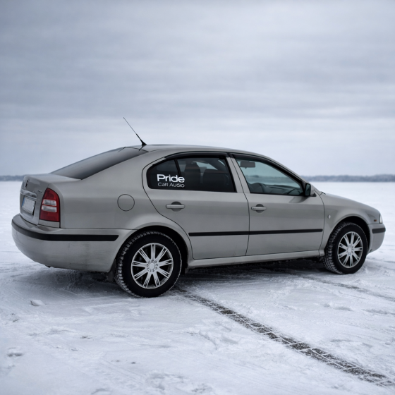 Skoda Octavia Макеевка