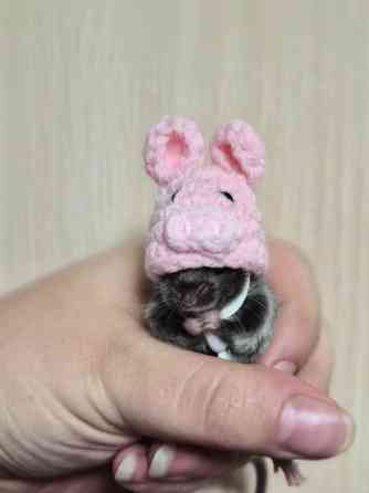 Продаёться сатиновый декоративный мышонок Харцызск