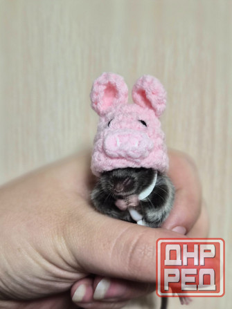 Продаёться сатиновый декоративный мышонок Харцызск - изображение 4