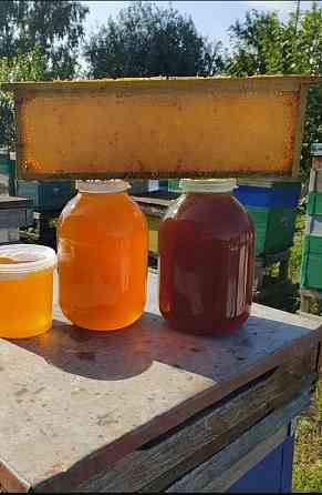 Мед майский разнотравье Донецк