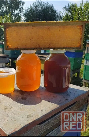 Мед майский разнотравье Донецк - изображение 1