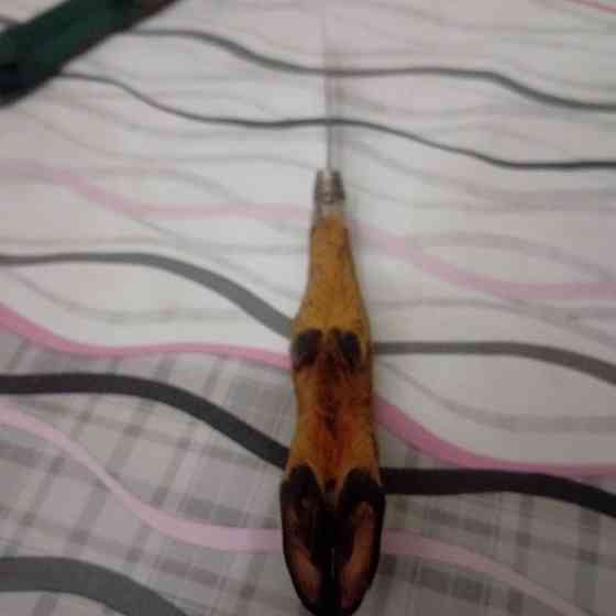 Нож козья ножка rostfrei гдр Донецк