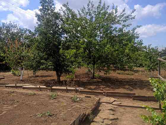 Продам дачу в садоводческом товариществе «Шахтер» (с. Гришки) Донецк