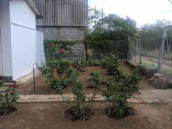 Продам дачу в садоводческом товариществе «Шахтер» (с. Гришки) Донецк