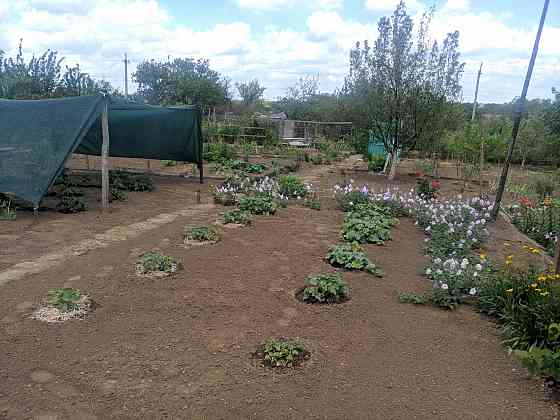 Продам дачу в садоводческом товариществе «Шахтер» (с. Гришки) Донецк