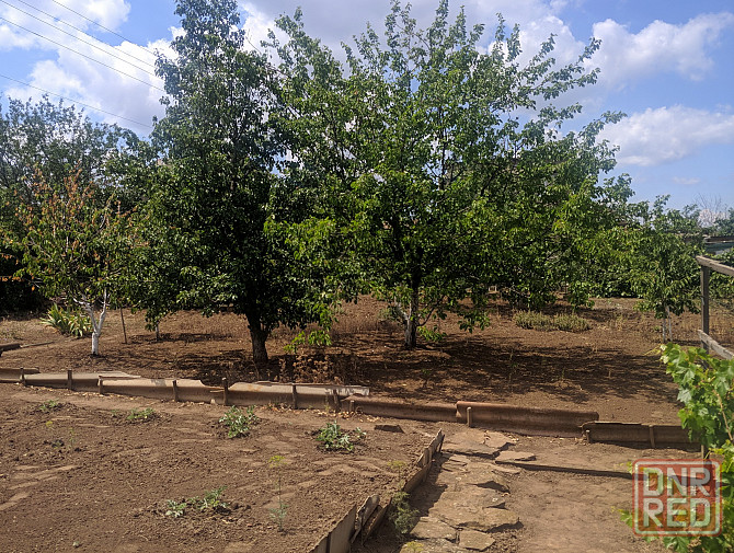 Продам дачу в садоводческом товариществе «Шахтер» (с. Гришки) Донецк - изображение 5