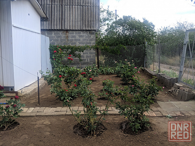 Продам дачу в садоводческом товариществе «Шахтер» (с. Гришки) Донецк - изображение 2