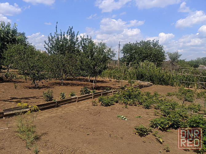 Продам дачу в садоводческом товариществе «Шахтер» (с. Гришки) Донецк - изображение 6