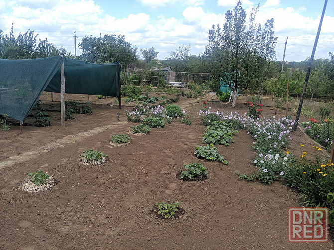 Продам дачу в садоводческом товариществе «Шахтер» (с. Гришки) Донецк - изображение 3