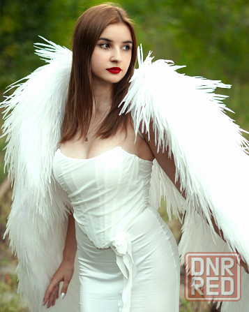 Фотограф/ видеограф Донецк - изображение 1