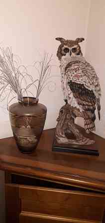 Статутка сова Донецк