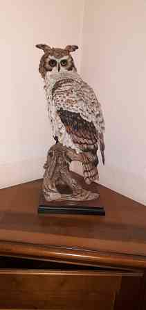 Статутка сова Донецк