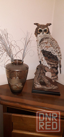 Статутка сова Донецк - изображение 1