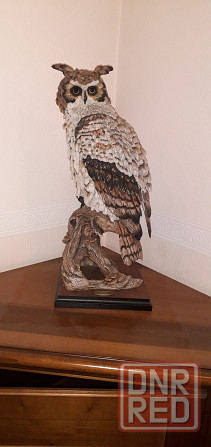 Статутка сова Донецк - изображение 2