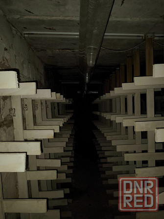 Подвал под выращивание грибов Донецк - изображение 1