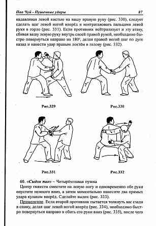 Продам книгу "Ченьши тайцзицюань. Пао чуй пушечные удары - Ван Чжанюань" Донецк