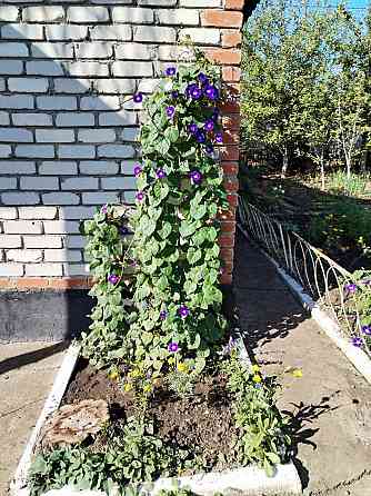 Продам дачу , дачный кооператив Калинка Донецк