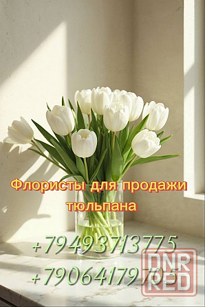 Ищу флористоа Донецк - изображение 1