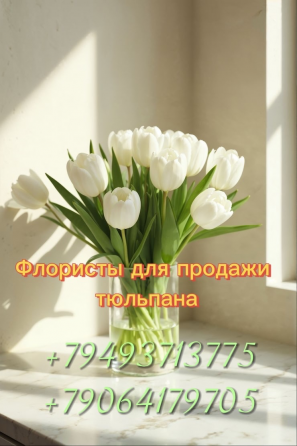 Флористы для продажи тюльпана |Донецк| !можно без опыта работы! Донецк