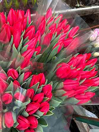 Тюльпаны цветы доставка Донецк