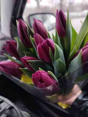 Тюльпаны цветы доставка Донецк