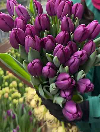 Тюльпаны цветы доставка Донецк