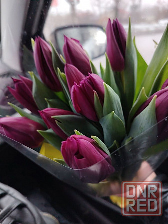 Тюльпаны цветы доставка Донецк - изображение 1