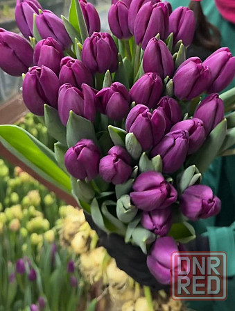 Тюльпаны цветы доставка Донецк - изображение 4