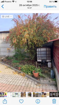 Продам дом Макеевка