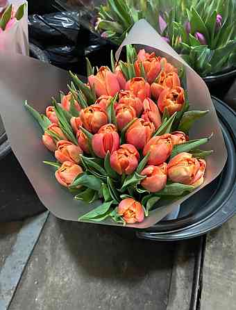 Флористы для продажи тюльпана |Донецк| !можно без опыта работы работа донецк днр поиск сотрудников Донецк