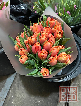 Флористы для продажи тюльпана |Донецк| !можно без опыта работы работа донецк днр поиск сотрудников Донецк - изображение 3