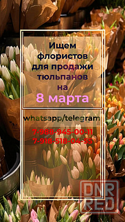 Флористы для продажи тюльпана |Донецк| !можно без опыта работы работа донецк днр поиск сотрудников Донецк - изображение 1