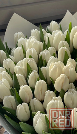 Флористы для продажи тюльпана |Донецк| !можно без опыта работы работа донецк днр поиск сотрудников Донецк - изображение 5