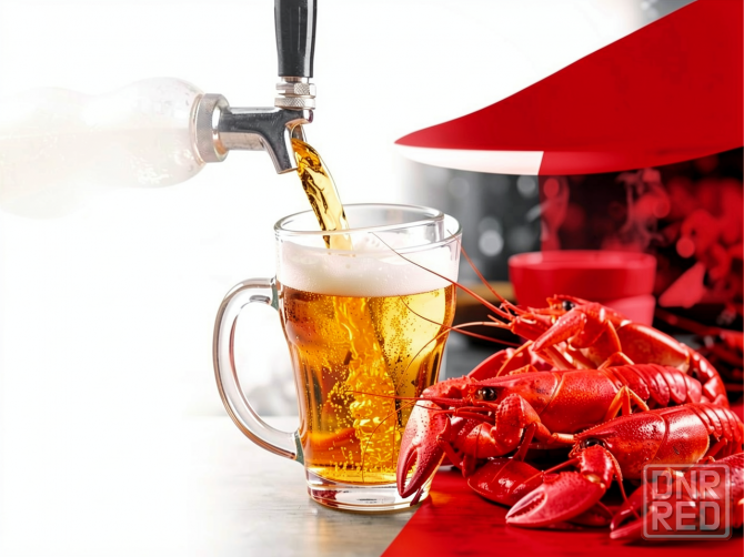 Магазин Разливного пива и варенные раки свежие пиво Донецк - изображение 1