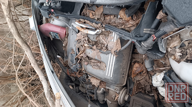 Продам Донецк - изображение 4