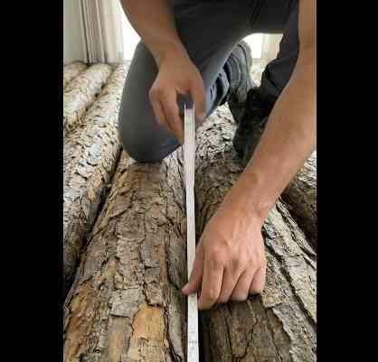 "Darkshines" прими "нас" "Ддц" Донецк