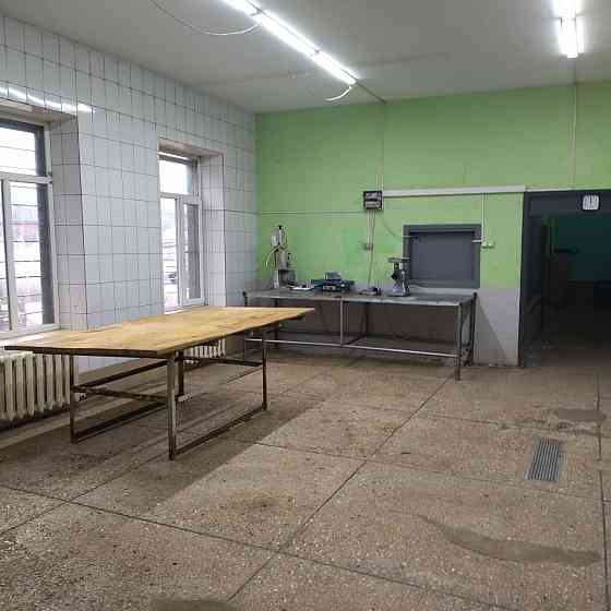 Аренда производства по изготовлению мясных изделий Макеевка