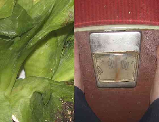 Учился спецКоля резидуальная' Донецк