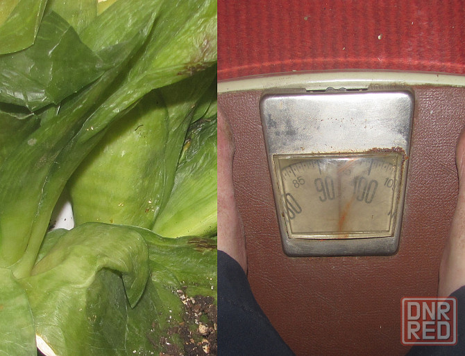 Учился спецКоля резидуальная' Донецк - изображение 1